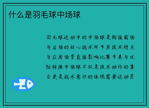 什么是羽毛球中场球