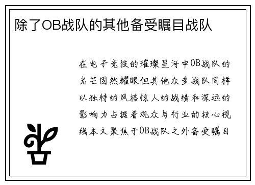 除了OB战队的其他备受瞩目战队